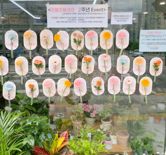 러블리플레르 이미지
