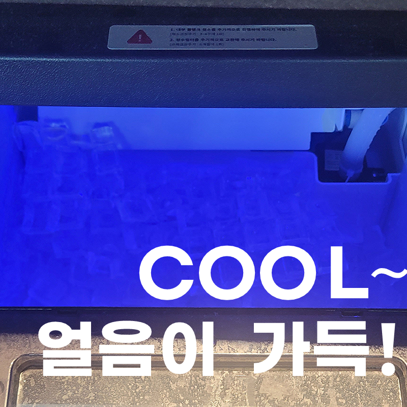 짐슈타인 이미지