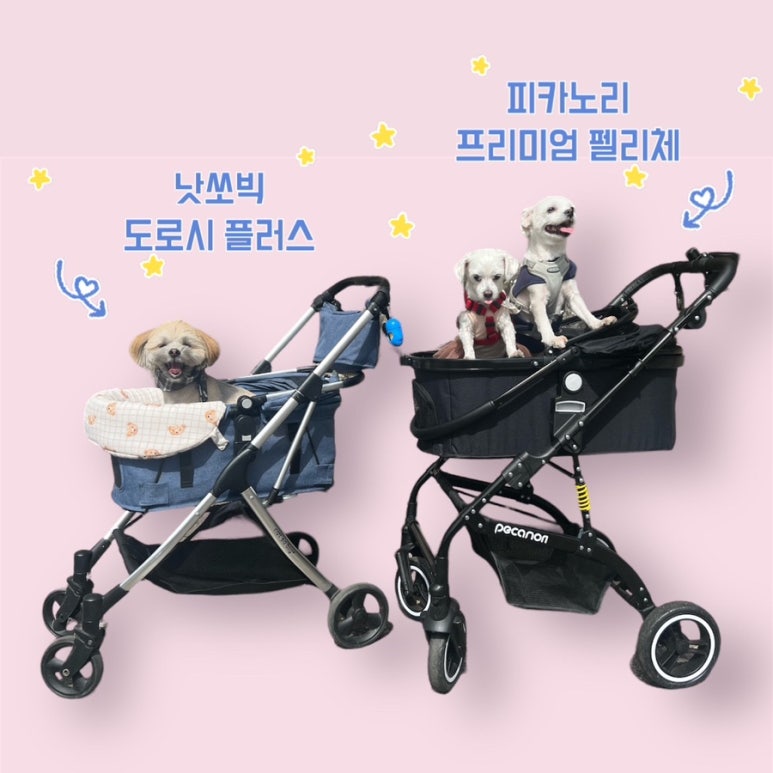 펠리체플러스 이미지