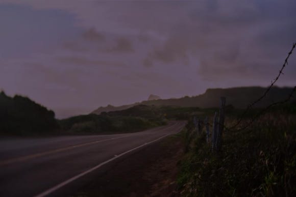 엘리정보 이미지