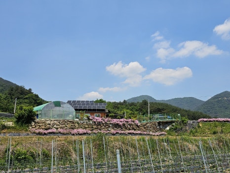 꽃길따라농장 이미지