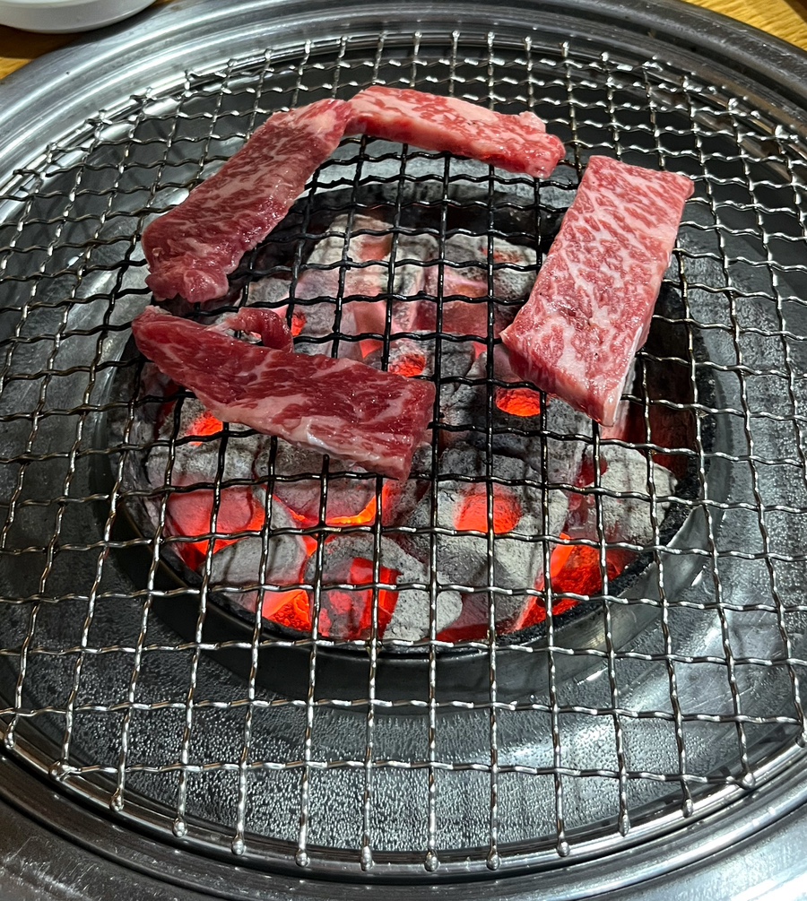 꿈꾸는황소 이미지
