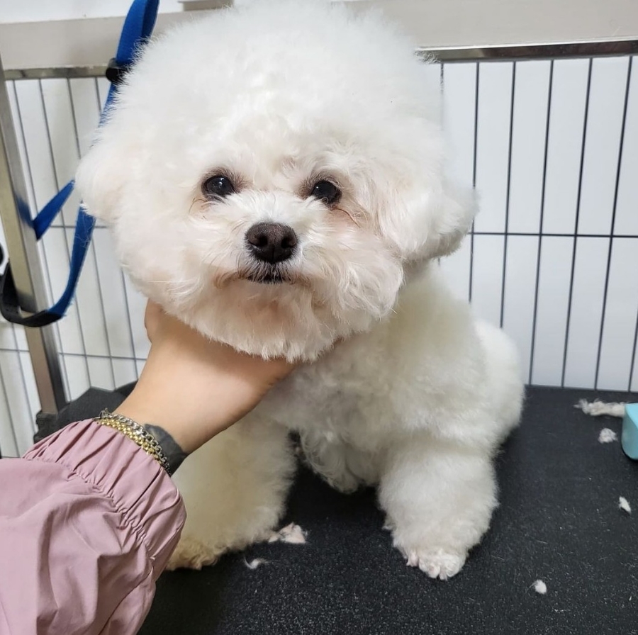 백천미용실 이미지
