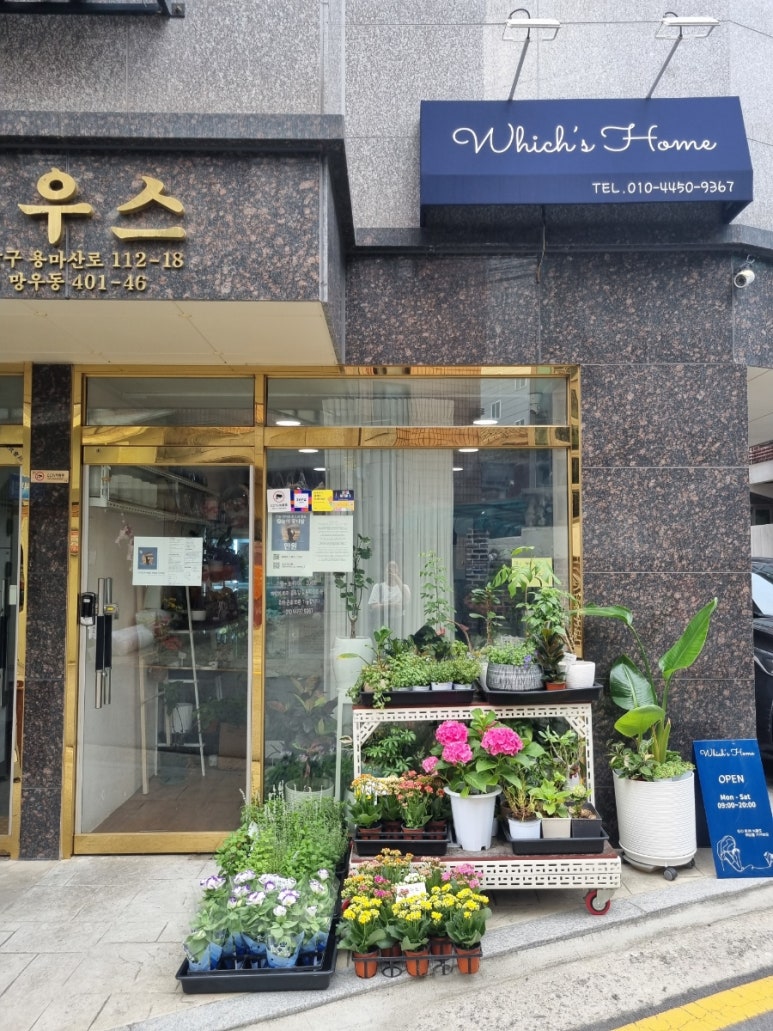 위치스홈 이미지