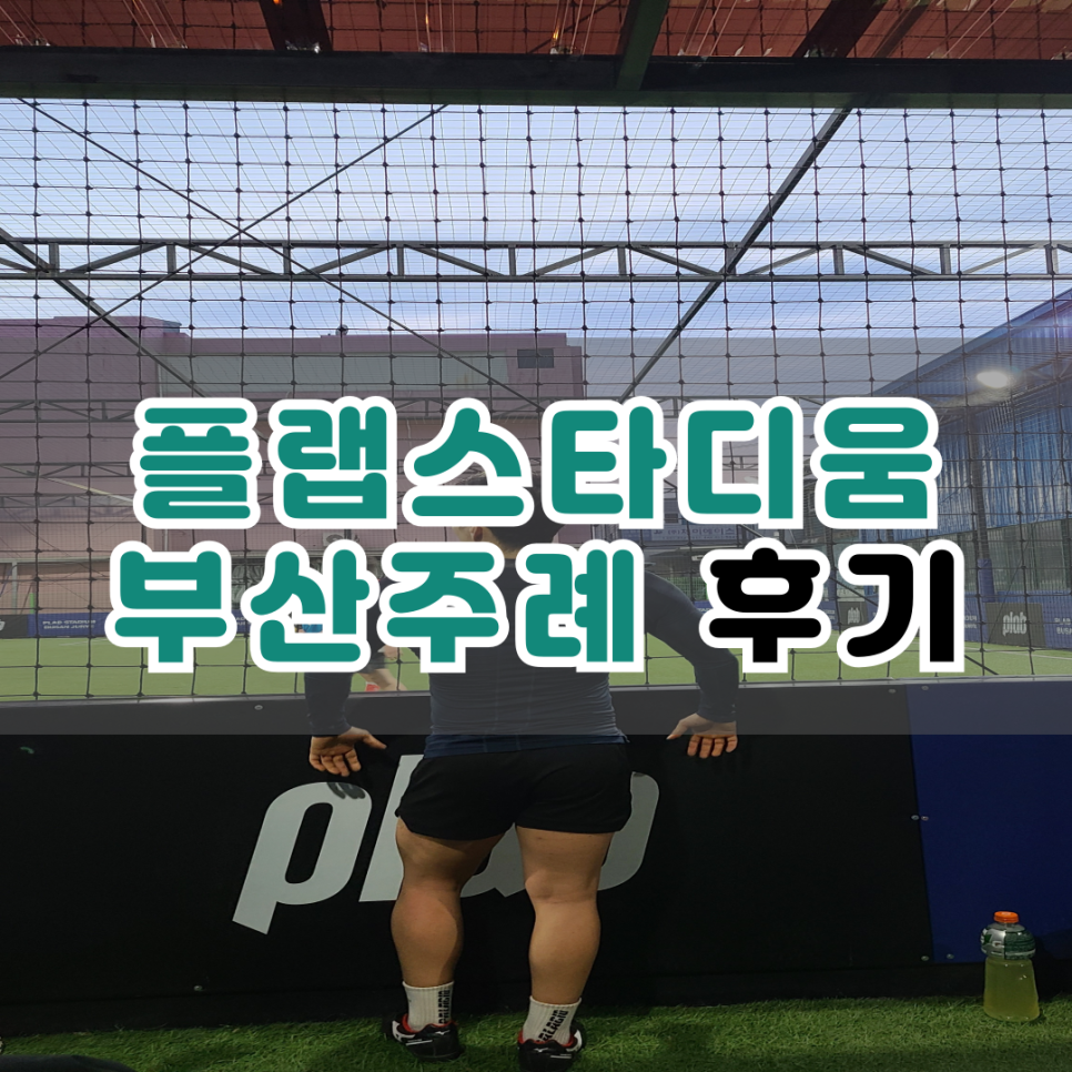 주례플랩스타디움 이미지