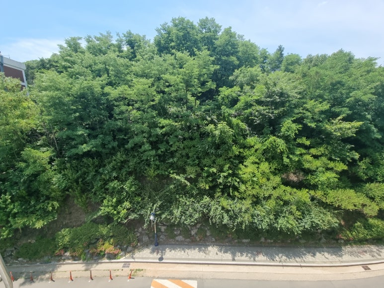 경상여자고등학교 이미지