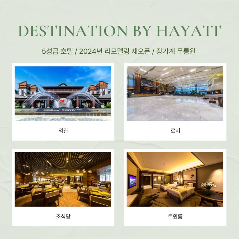 예주항공여행사 이미지