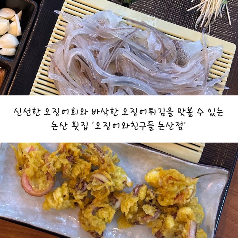 오징어 와 친구들 이미지
