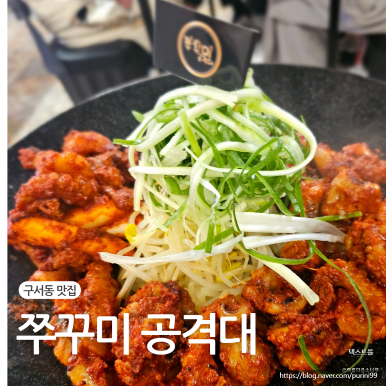 쭈꾸미공격대 이미지
