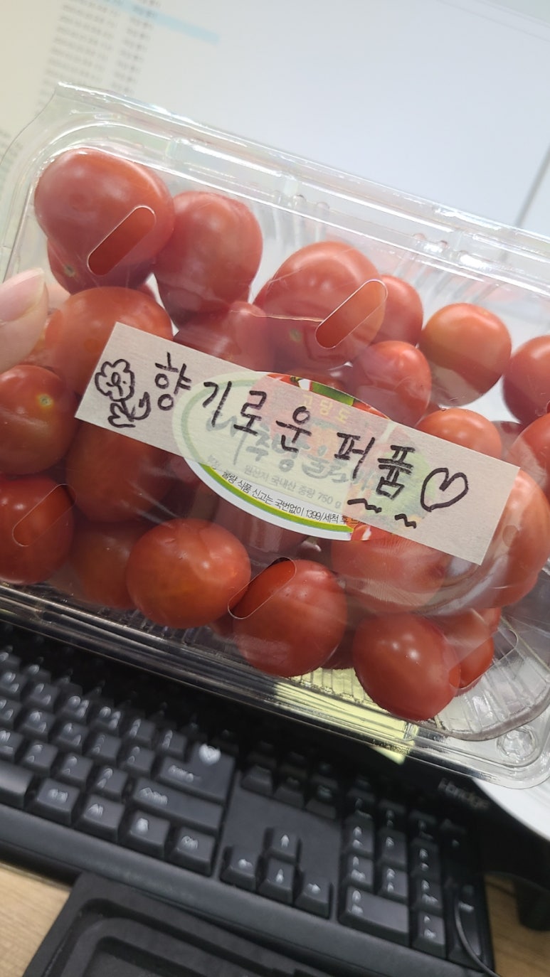 (주)토마토세븐 이미지