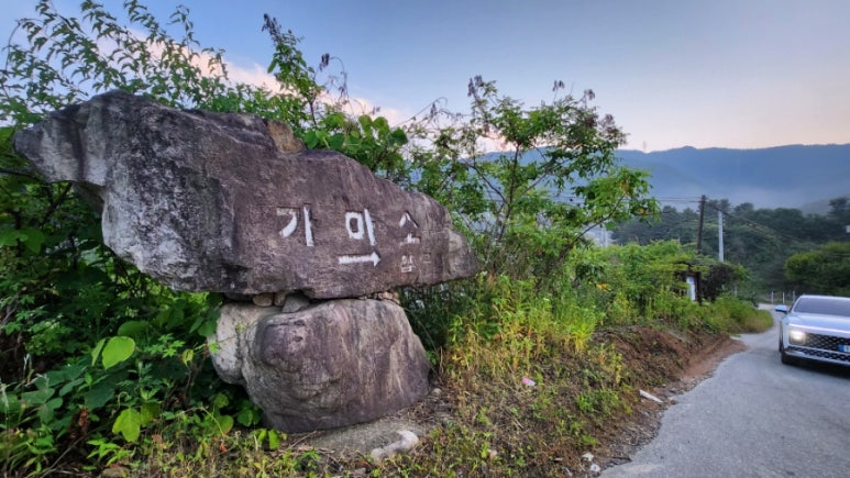 동창식당 이미지