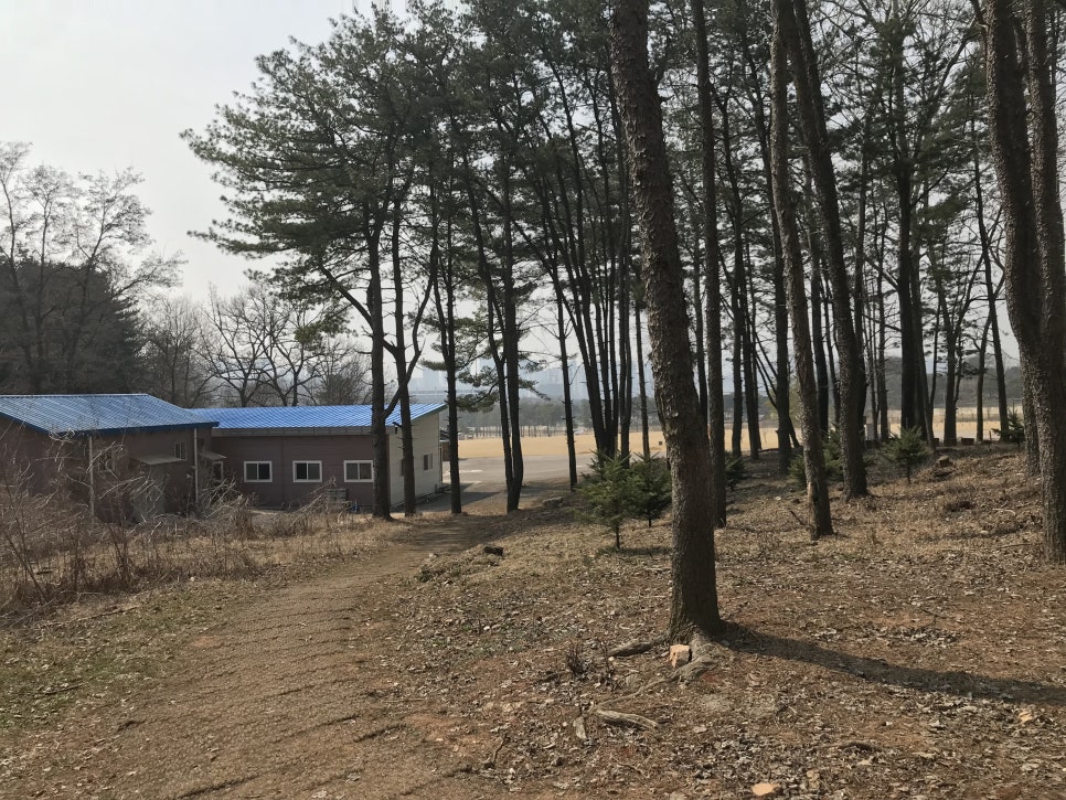 회암사지 유아숲체험원 이미지
