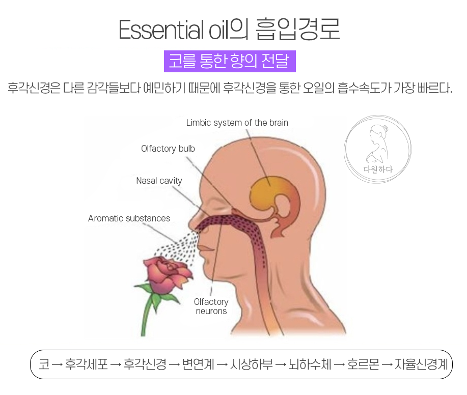힐테라피 이미지