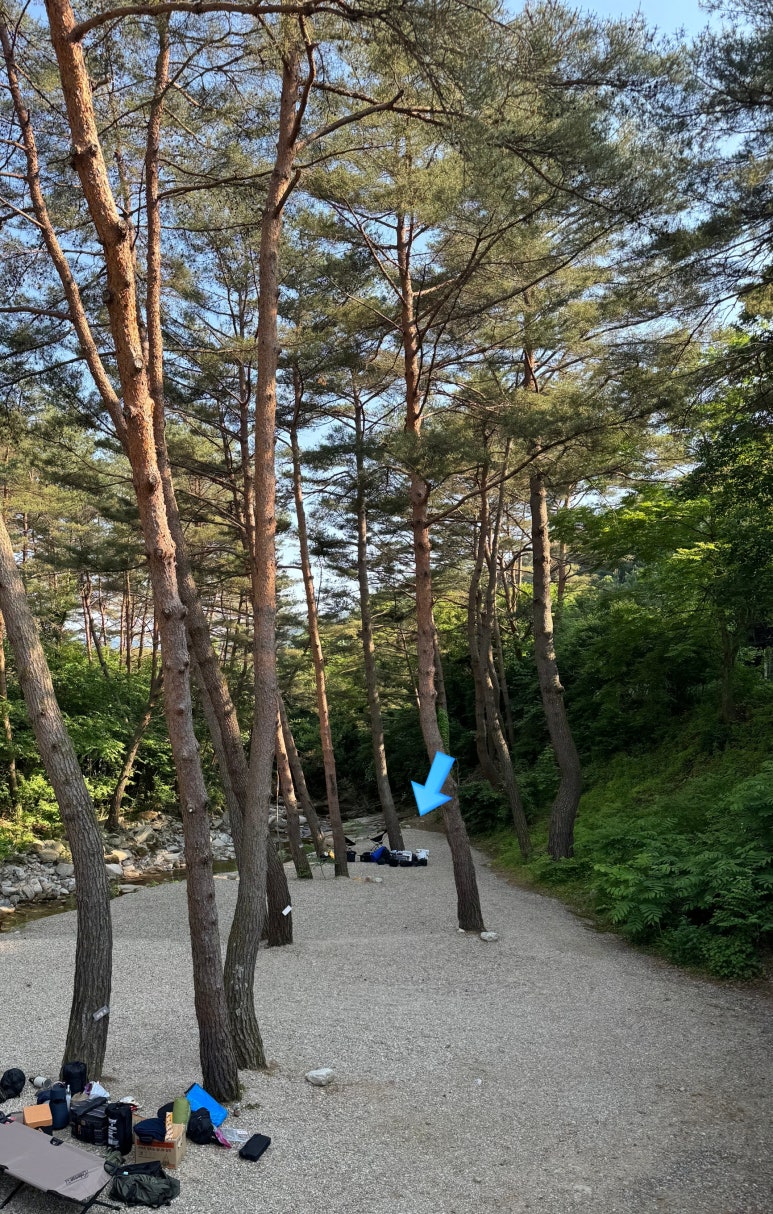 캠프오어즈 이미지