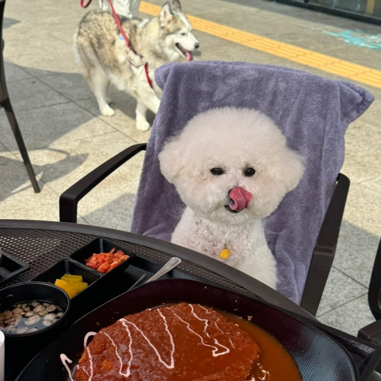 가평(춘천방향)휴게소 무공돈가스 이미지