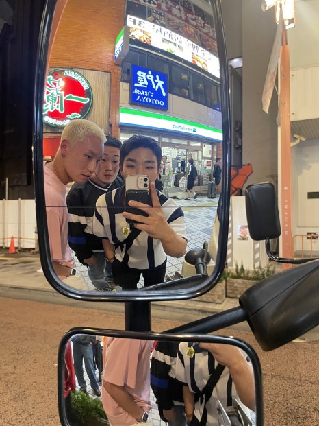 플레타짐 이미지