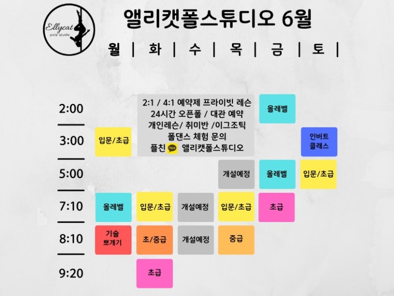 앨리캣폴스튜디오 이미지