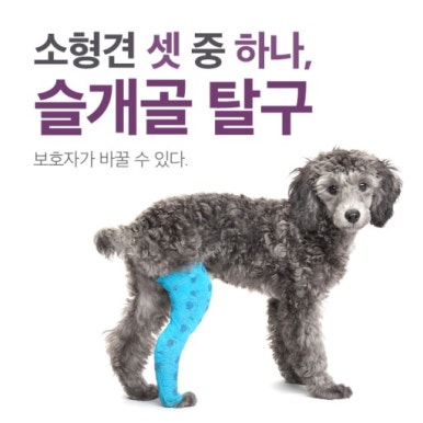 인 이미지