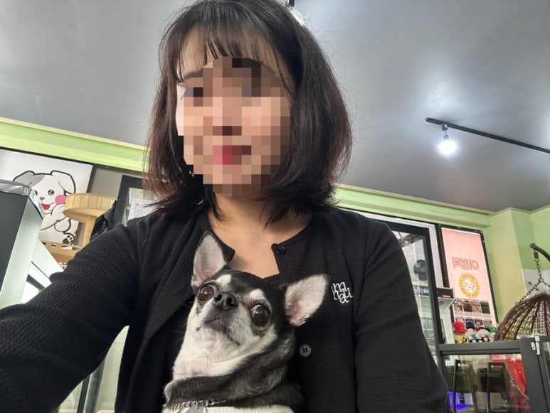 숩틸 이미지