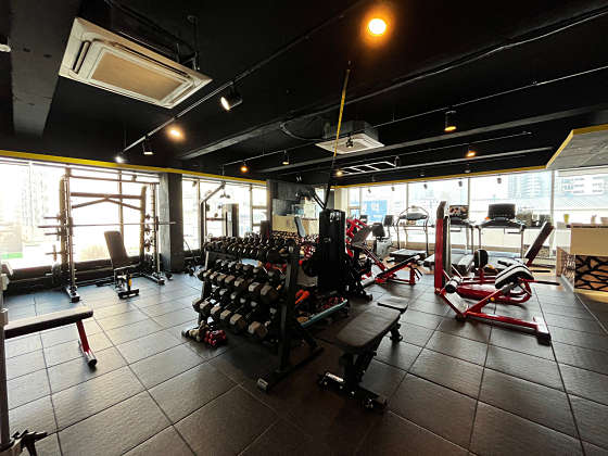 팀엑스핏 개봉 이미지