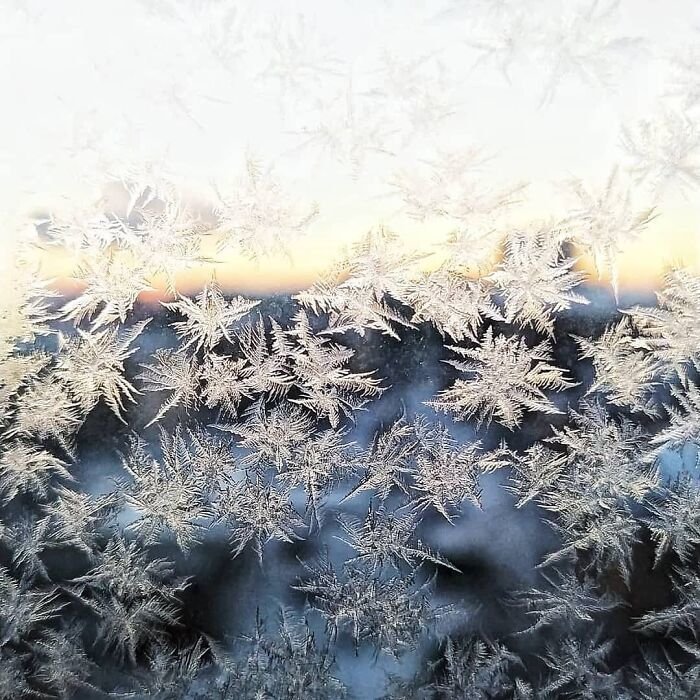 김*흥 이미지