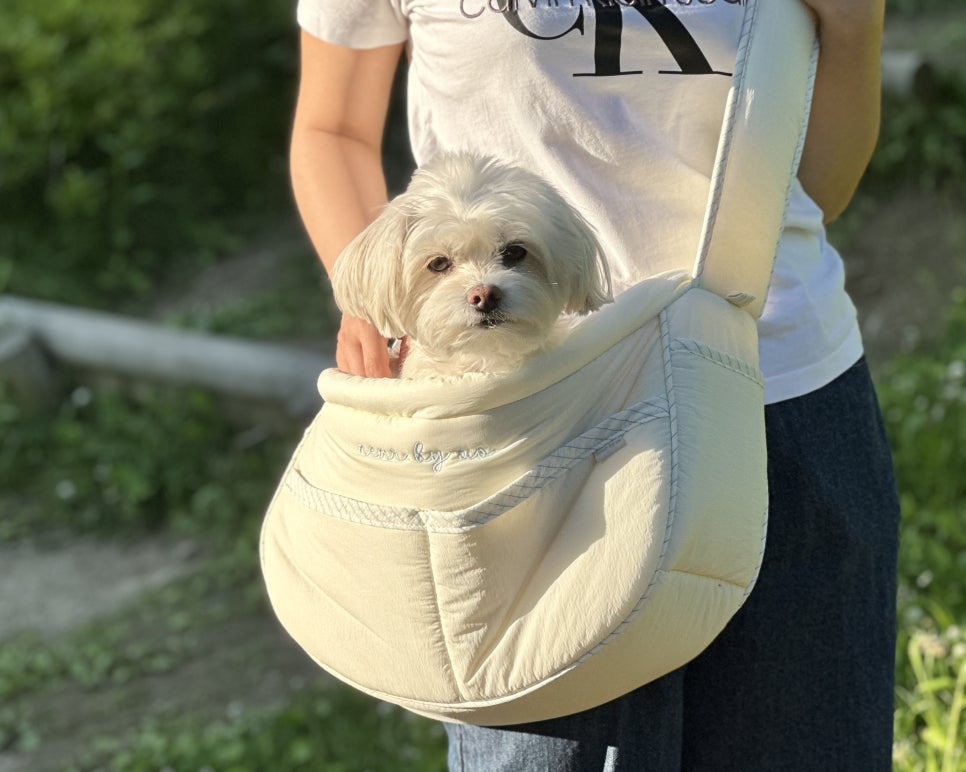 어스케이지 이미지