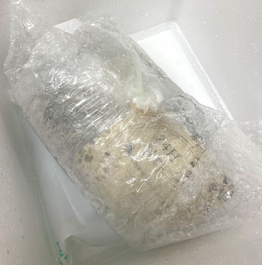 24H판다 이미지