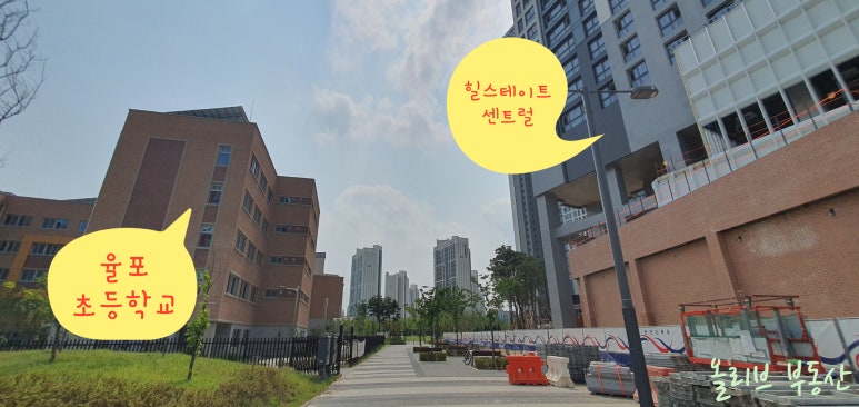 율포초등학교 이미지