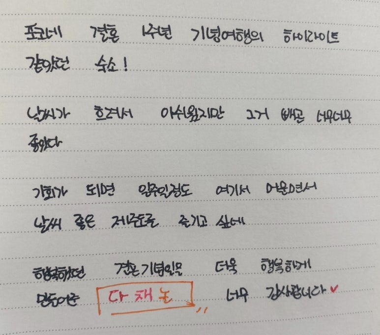 다채놀 이미지