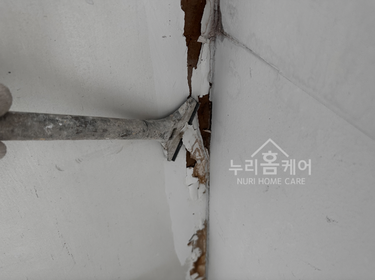 동성페인트 이미지