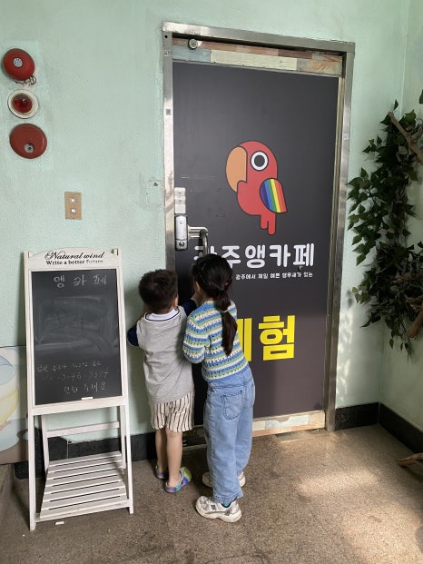 광주앵카페 이미지