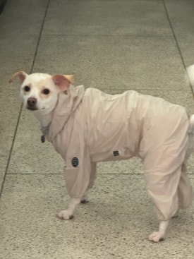 오복의류 이미지
