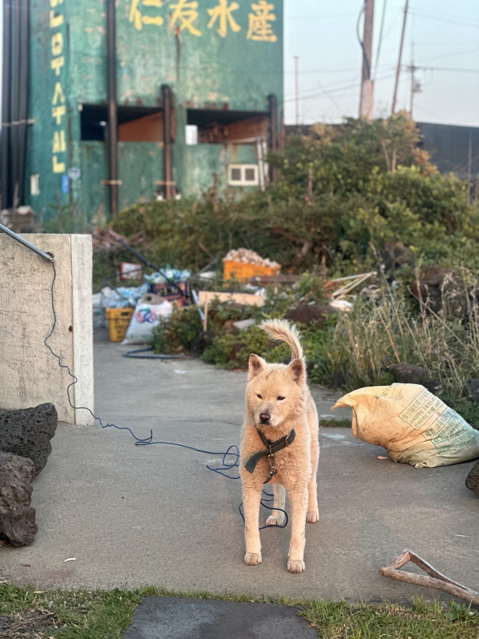 용수산회 이미지