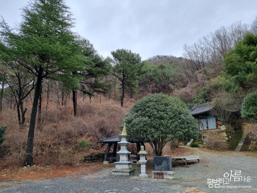 금불사 칼국수 이미지