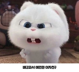 통통통 이미지