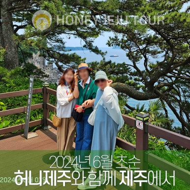 제주다정여행사 이미지