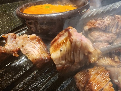 돼지도온 이미지