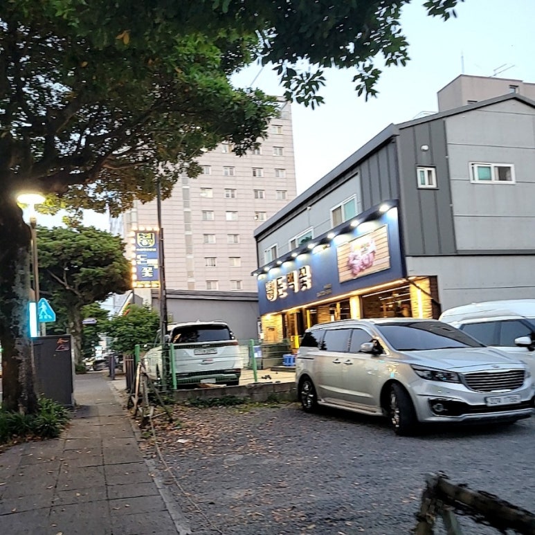 돈백꽃서귀포점 이미지