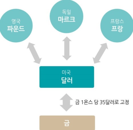 트리핀 이미지