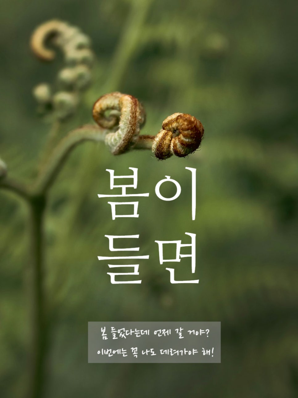 행복한둥지마트 이미지