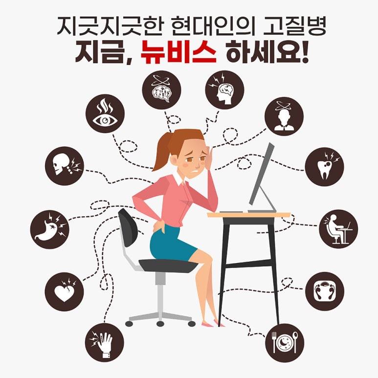 뉴비스 이미지