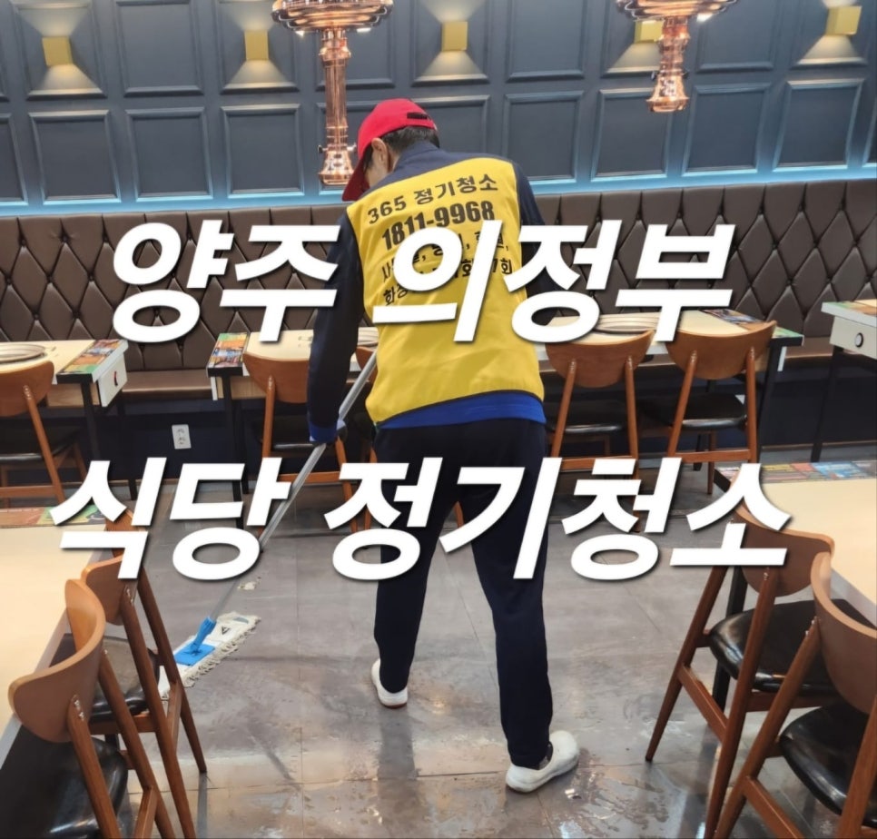 돌핀크린 이미지
