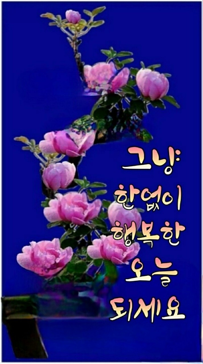 정이네몰 이미지