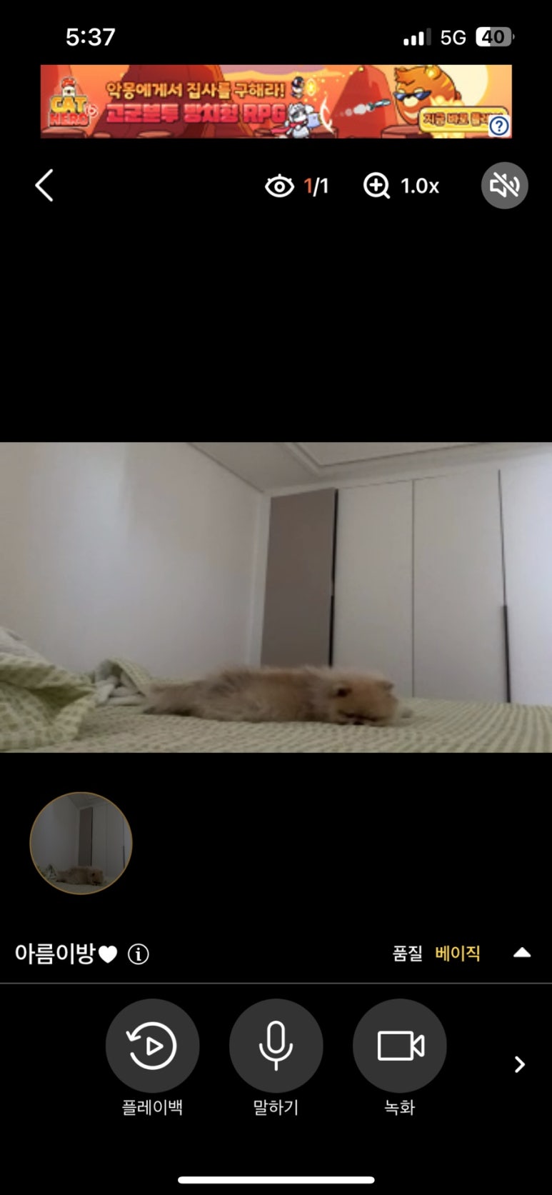 껄껄상사 이미지