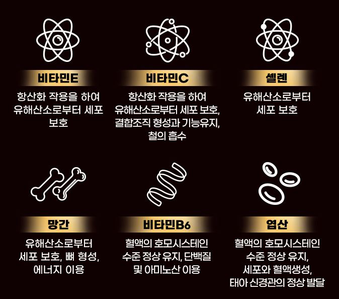 블루션 이미지