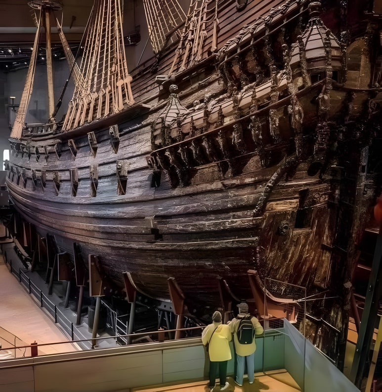 바사 (VASA) 이미지