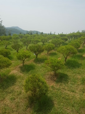 오산한국병원장례식장 이미지