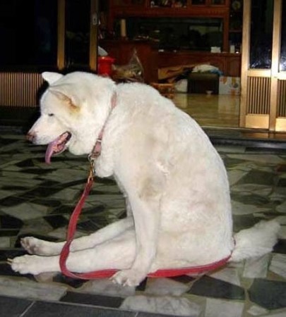 커피앤푸드 이미지