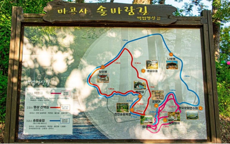 (사)한국자연미술가협회 이미지