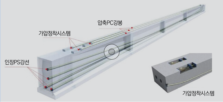 비티엠 이미지